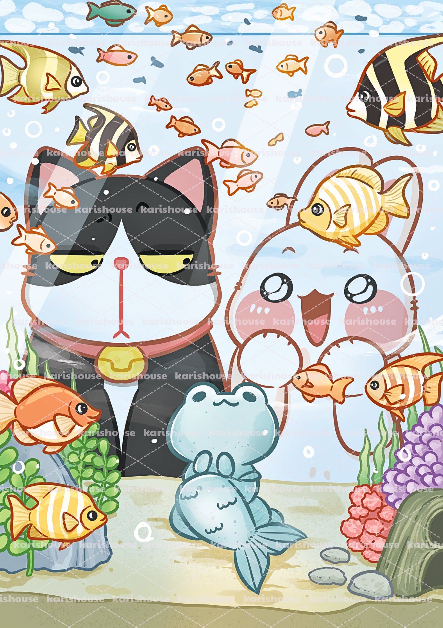 Fish Tank Postcard